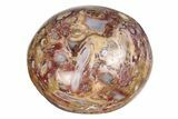 Tumbled Petrified Palm Root From Indonesia - Photo 4